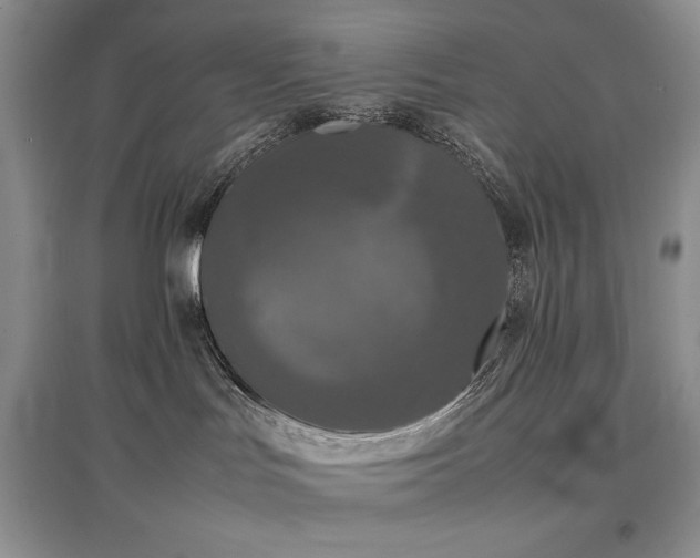 X0000097600047200803071438
