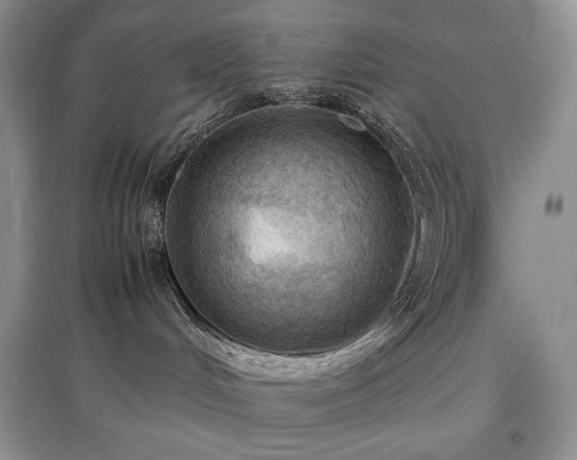 X0000097600048200803071438