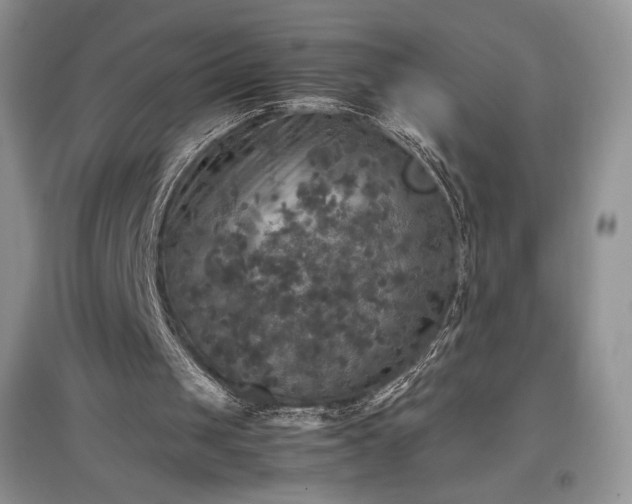 X0000097600049200803071437