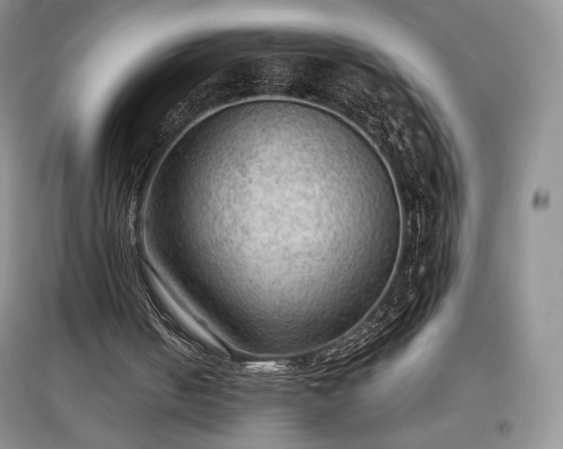 X0000097600050200803071437