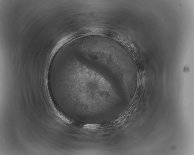 X0000097600051200803071437