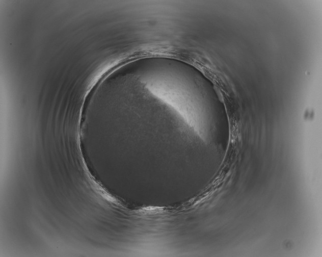 X0000097600052200803071437