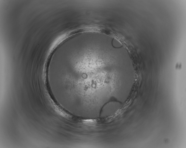X0000097600053200803071437