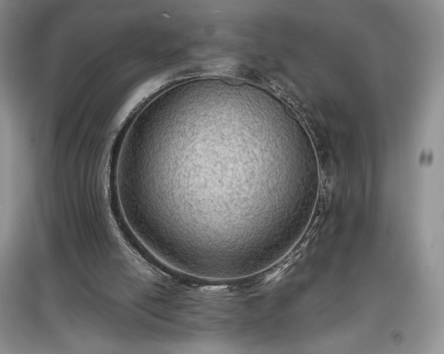 X0000097600054200803071437