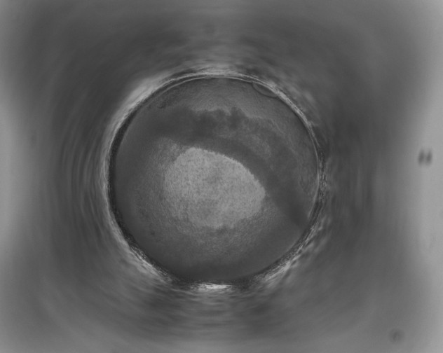 X0000097600055200803071437