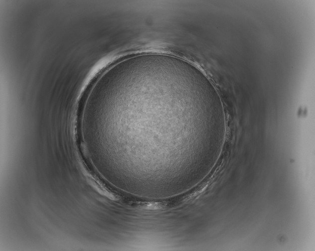 X0000097600056200803071437