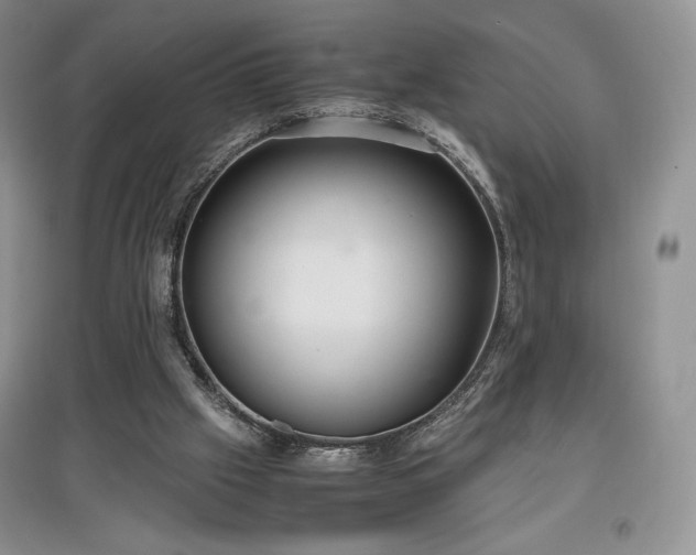 X0000097600057200803071437