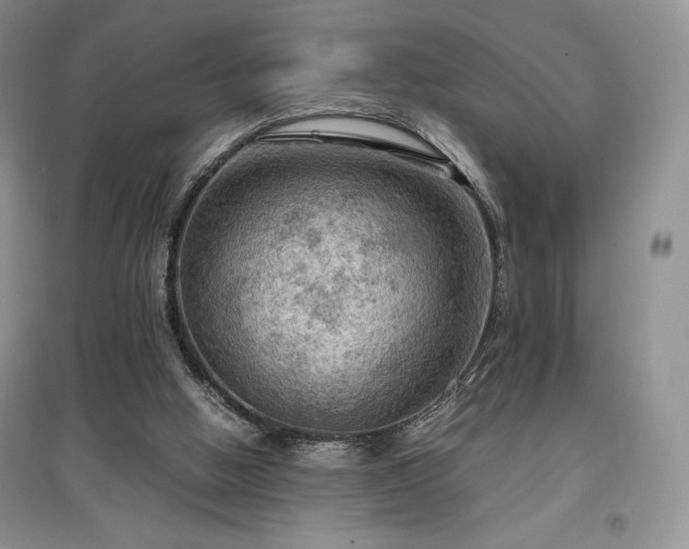 X0000097600058200803071437