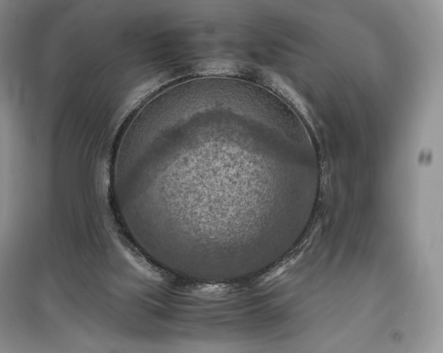 X0000097600059200803071437