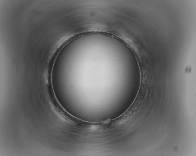 X0000097600060200803071437