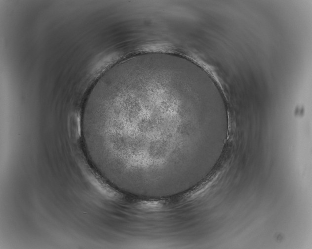 X0000097600061200803071437