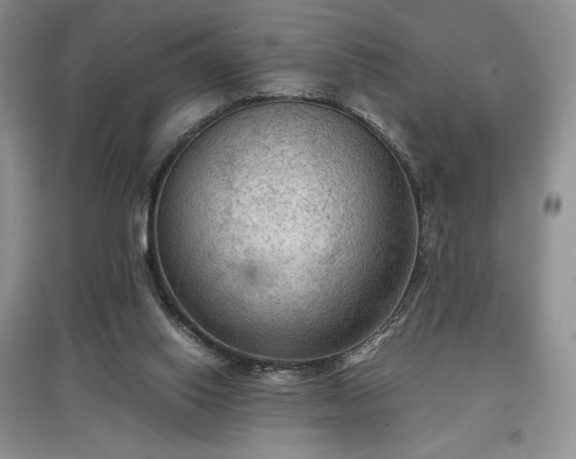 X0000097600062200803071437