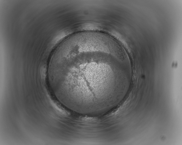X0000097600063200803071437