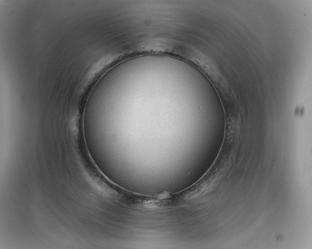 X0000097600064200803071437