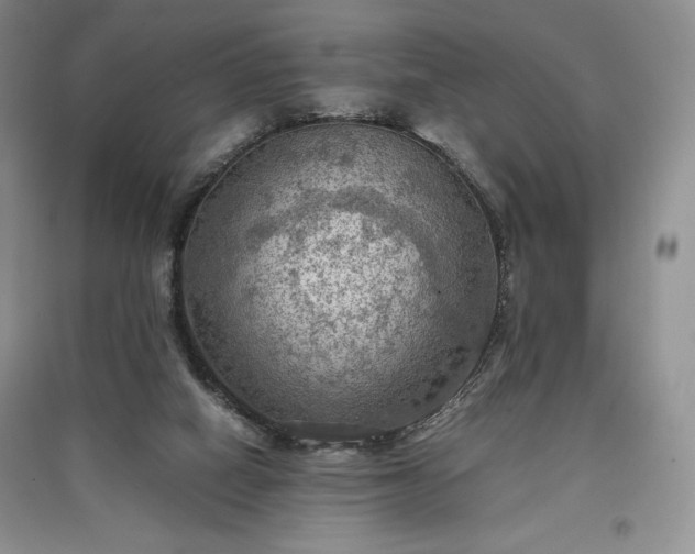 X0000097600066200803071437
