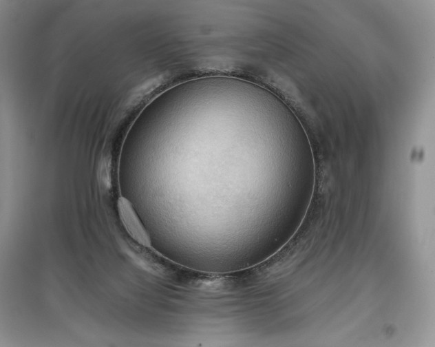 X0000097600068200803071437