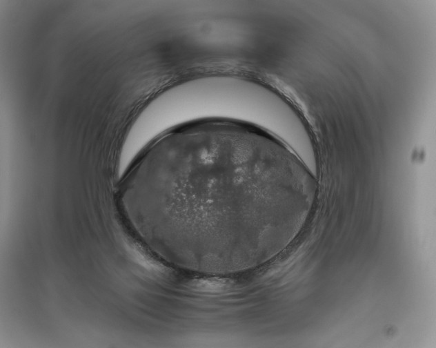 X0000097600069200803071437