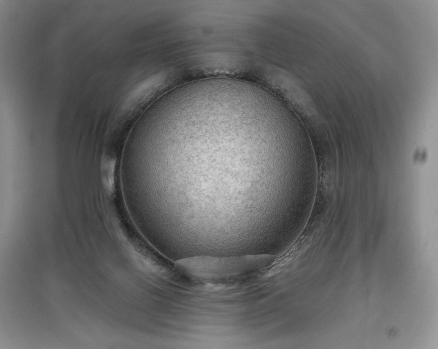 X0000097600070200803071437