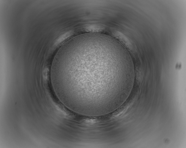 X0000097600071200803071437