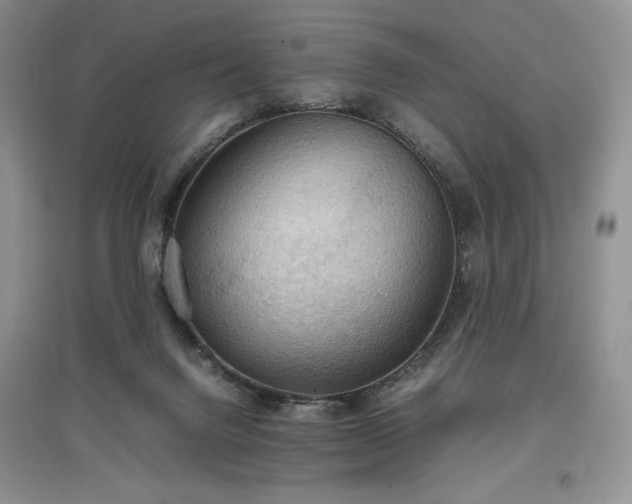 X0000097600072200803071438