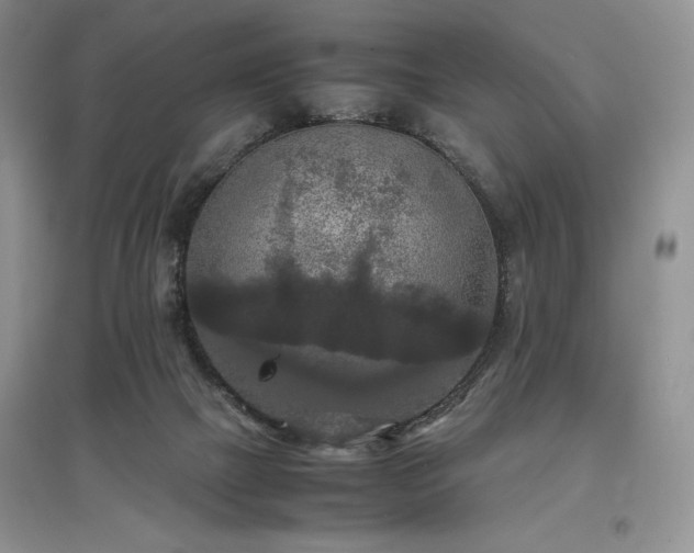 X0000097600073200803071438