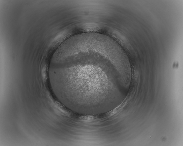 X0000097600074200803071438