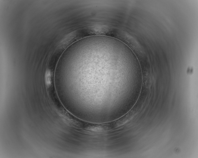 X0000097600075200803071438