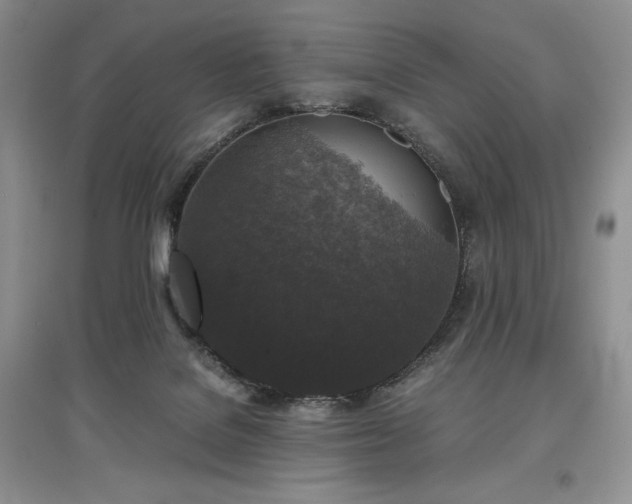 X0000097600076200803071438