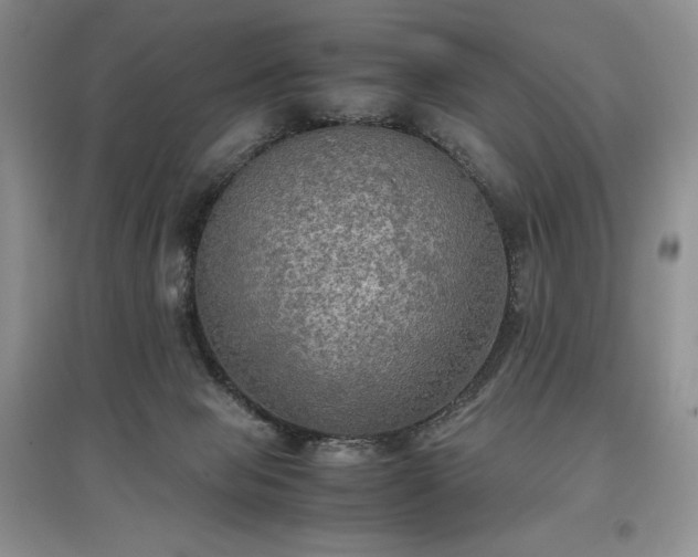 X0000097600077200803071438