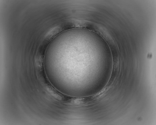X0000097600078200803071438