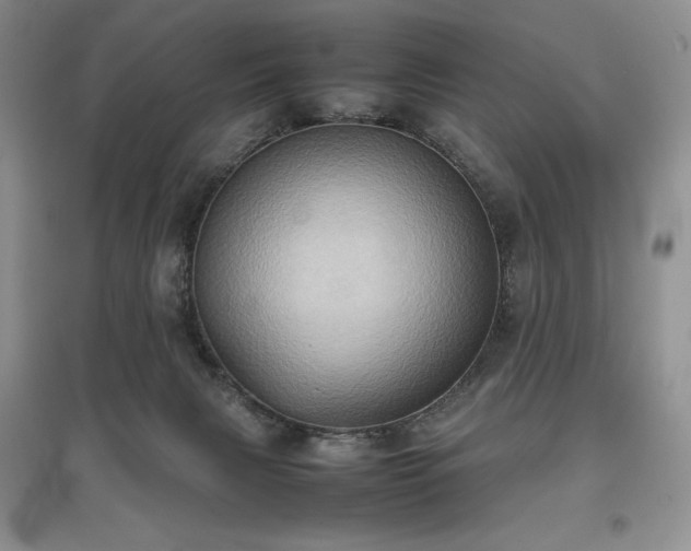 X0000097600079200803071438