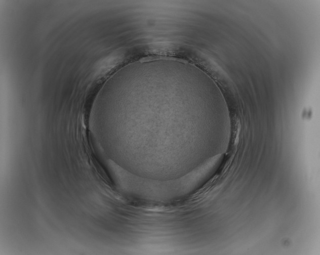 X0000097600080200803071438