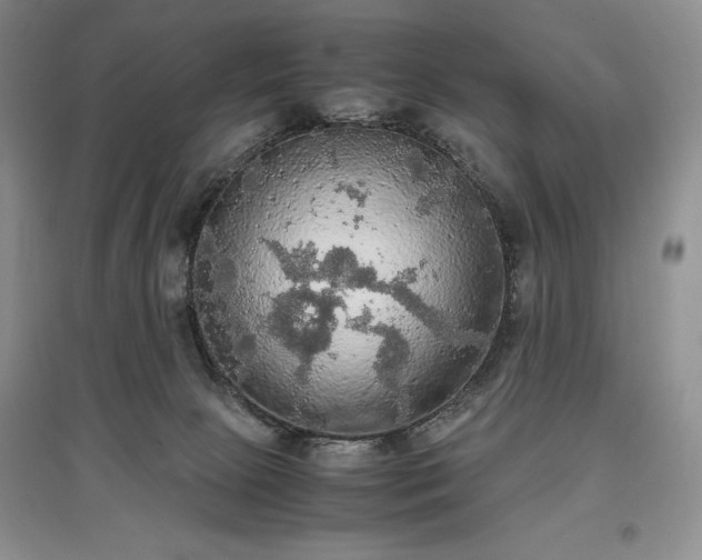 X0000097600081200803071438