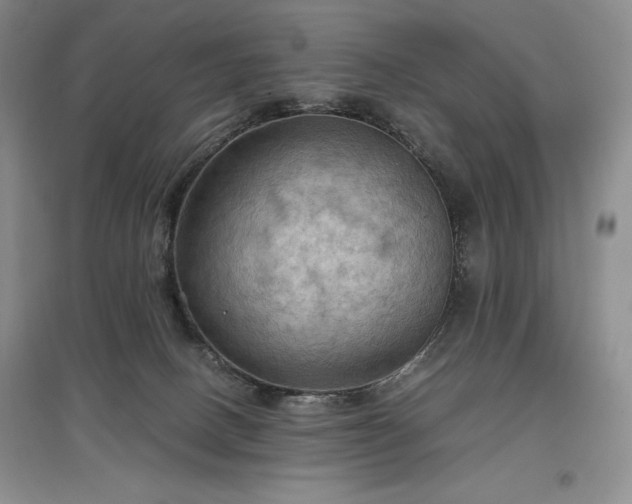 X0000097600082200803071438