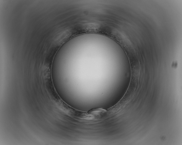 X0000097600083200803071438