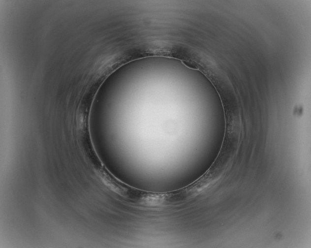 X0000097600084200803071438