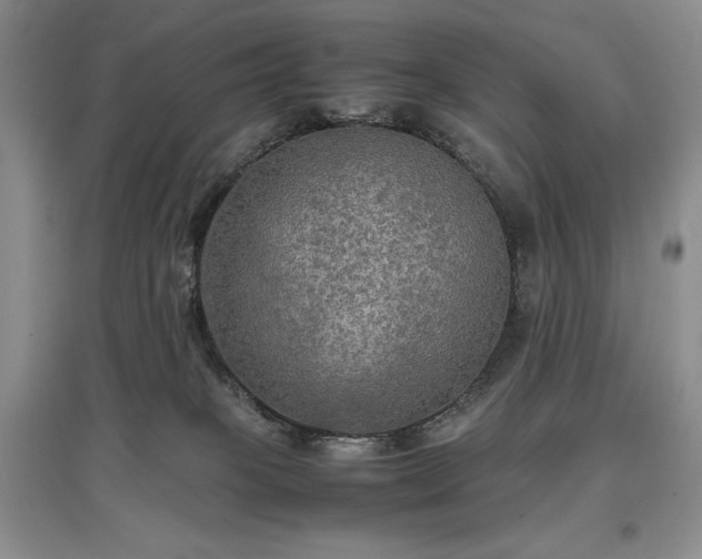 X0000097600085200803071438