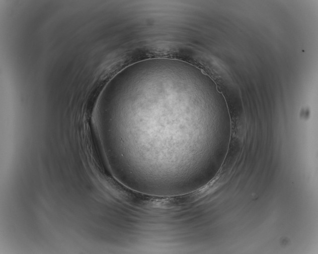 X0000097600086200803071438