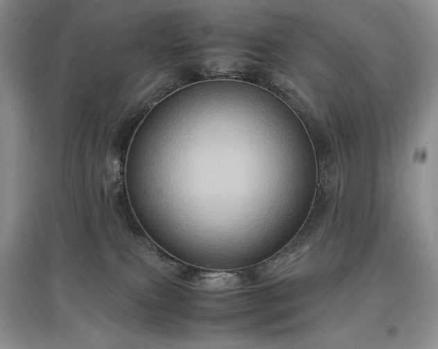 X0000097600087200803071438