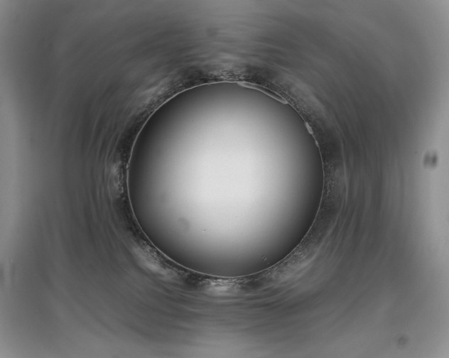 X0000097600088200803071438