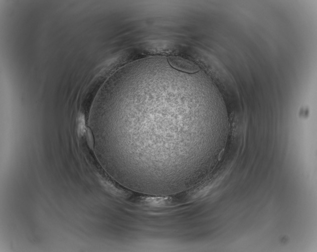 X0000097600089200803071438