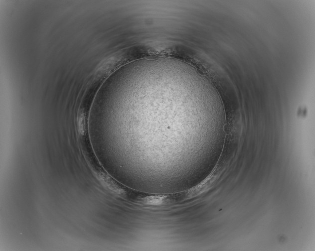 X0000097600090200803071438
