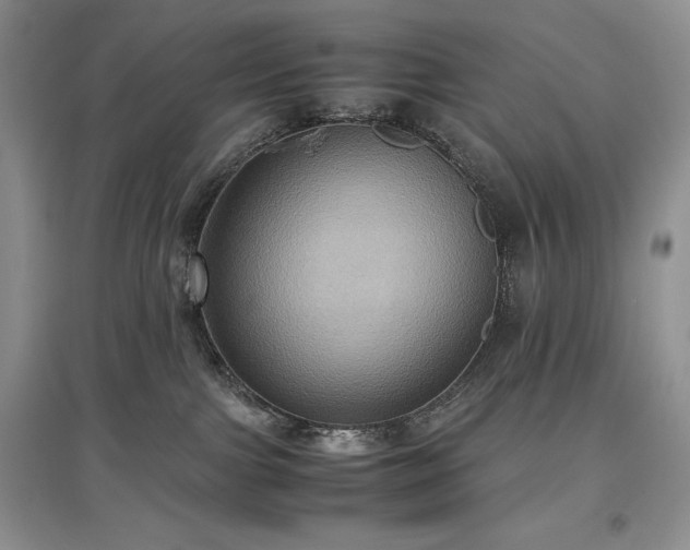 X0000097600091200803071438