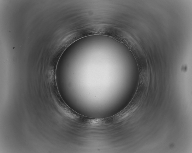 X0000097600092200803071438