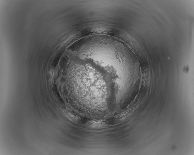 X0000097600093200803071438