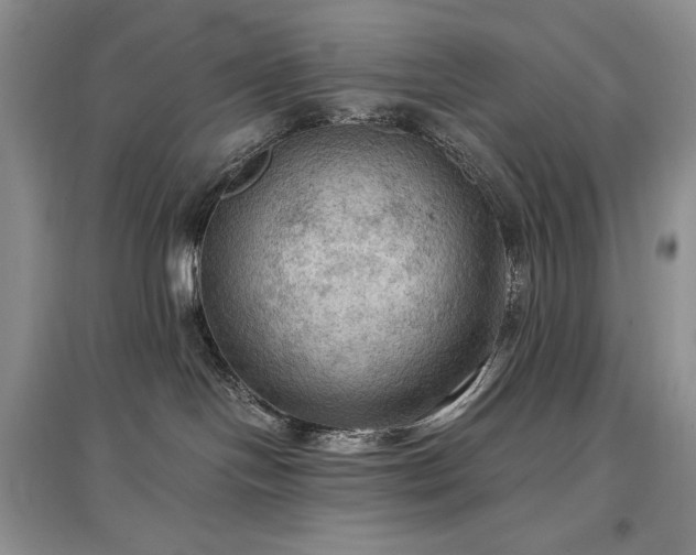 X0000097600094200803071438