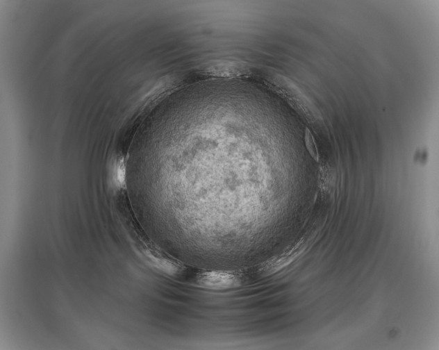 X0000097600095200803071438