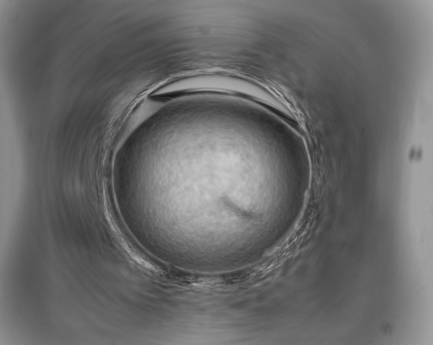 X0000097600097200803071437