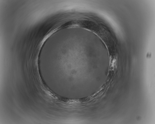 X0000097600099200803071437