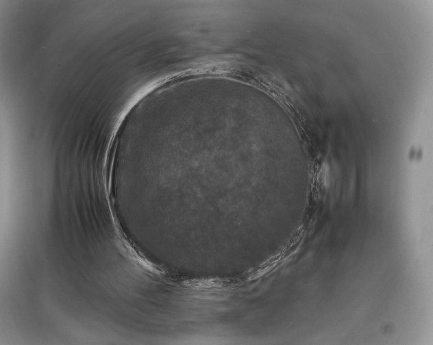 X0000097600100200803071437